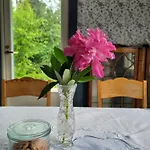 Haave * Kotka